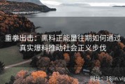 重拳出击：黑料正能量往期如何通过真实爆料推动社会正义步伐