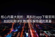 核心内幕大剖析：黑料社app下载官网如何利用详实数据拆解隐藏的黑幕