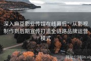 深入麻豆影业传媒在线幕后：从影视制作到后期宣传打造全链路品牌运营模式
