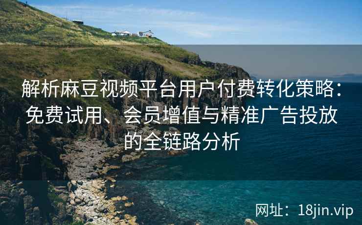 解析麻豆视频平台用户付费转化策略：免费试用、会员增值与精准广告投放的全链路分析