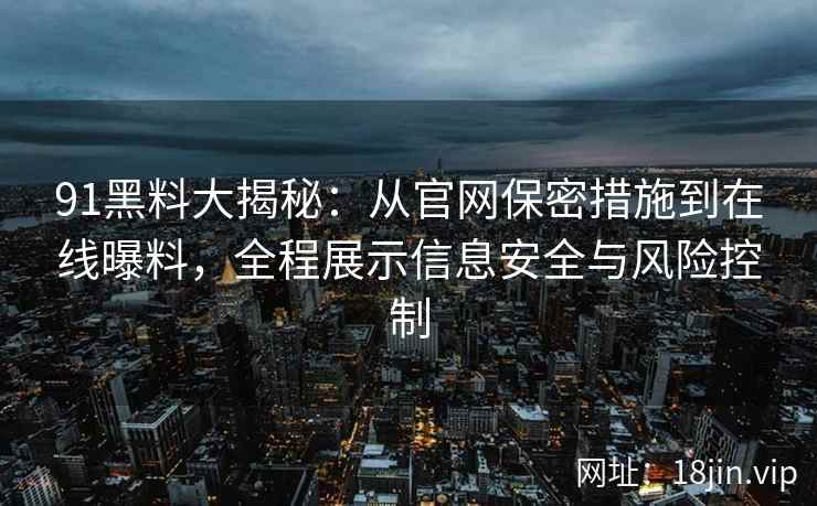 91黑料大揭秘：从官网保密措施到在线曝料，全程展示信息安全与风险控制