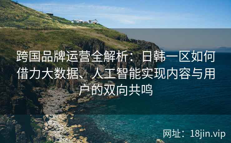 跨国品牌运营全解析：日韩一区如何借力大数据、人工智能实现内容与用户的双向共鸣